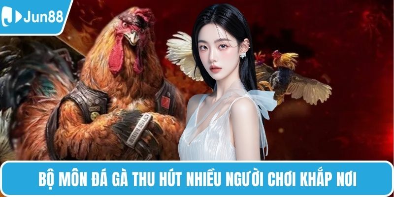 Bộ môn đá gà thu hút nhiều người chơi khắp nơi