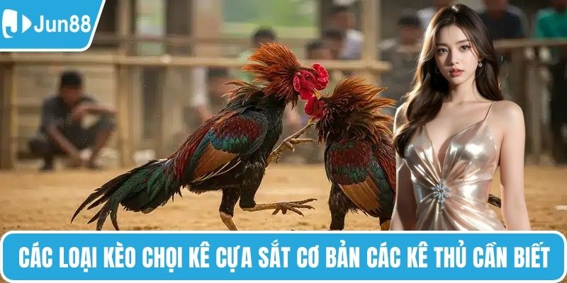 Các loại kèo chọi kê cựa sắt cơ bản các kê thủ cần biết
