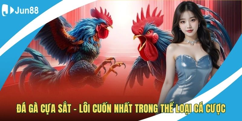 đá gà cựa sắt