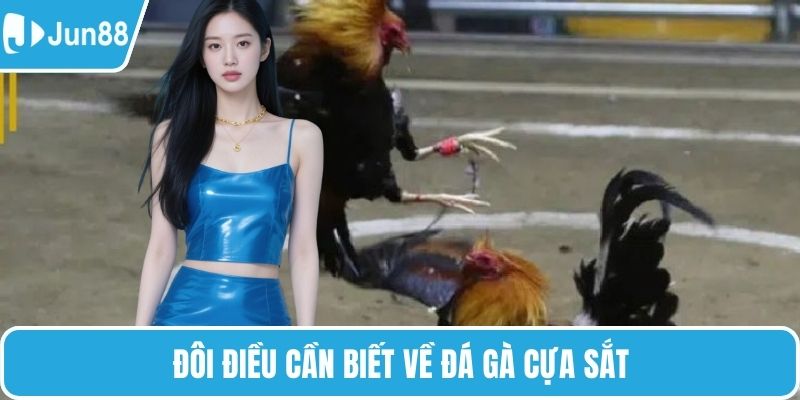 Đôi điều cần biết về đá gà cựa sắt