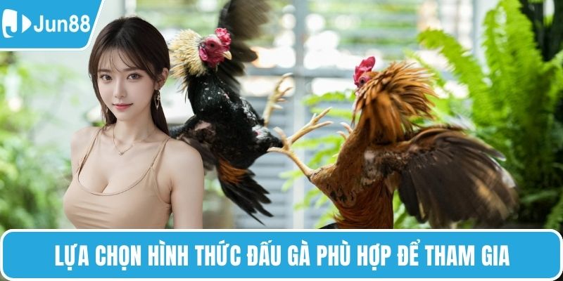 Lựa chọn hình thức đấu gà phù hợp để tham gia