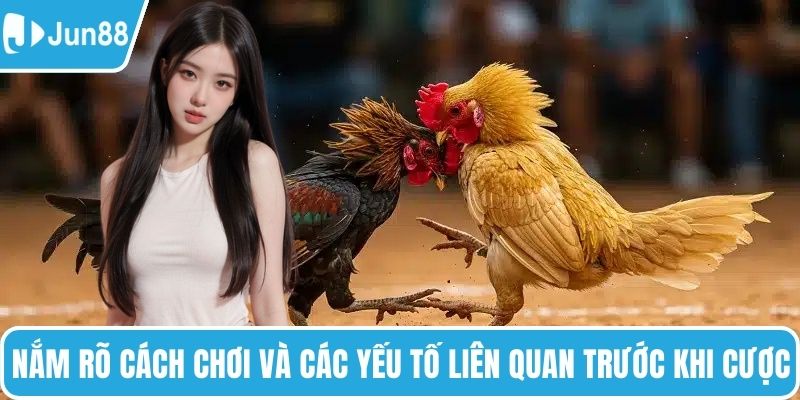 Nắm rõ cách chơi và các yếu tố liên quan trước khi cược