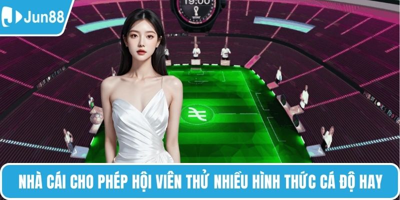 Nhà cái cho phép hội viên thử nhiều hình thức cá độ hay