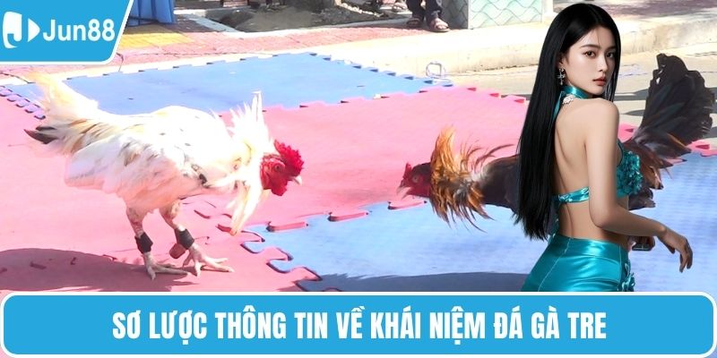 Sơ lược thông tin về khái niệm đá gà tre