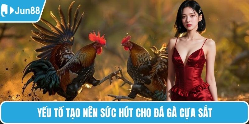 Yếu tố tạo nên sức hút cho đá gà cựa sắt